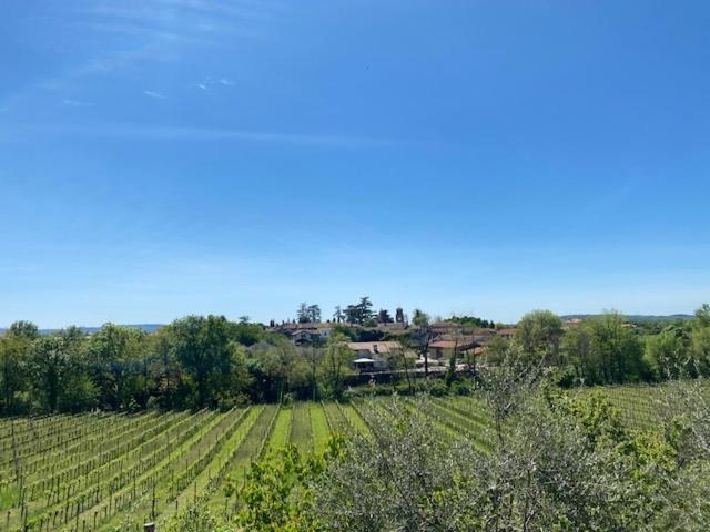 Villa Butussi - L'Ospitalita Del Vino Corno di Rosazzo Eksteriør bilde
