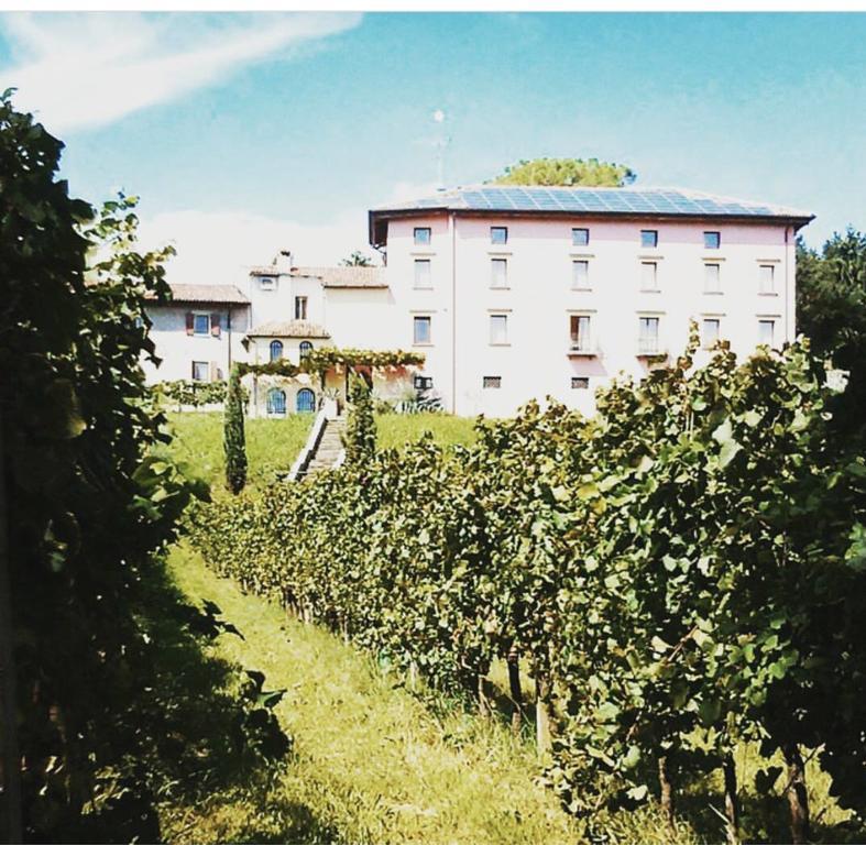 Villa Butussi - L'Ospitalita Del Vino Corno di Rosazzo Eksteriør bilde